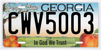 GA license plate CWV5003