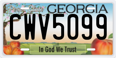 GA license plate CWV5099