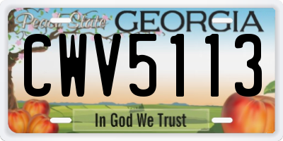 GA license plate CWV5113