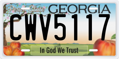 GA license plate CWV5117