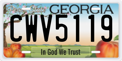 GA license plate CWV5119