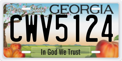 GA license plate CWV5124