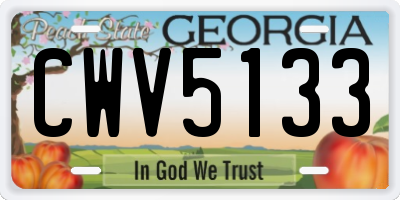 GA license plate CWV5133