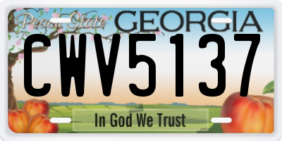 GA license plate CWV5137