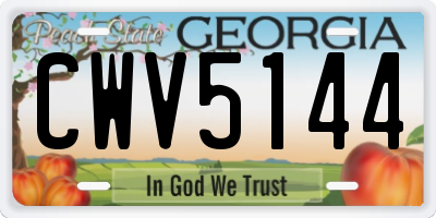 GA license plate CWV5144