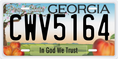 GA license plate CWV5164