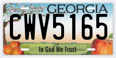 GA license plate CWV5165