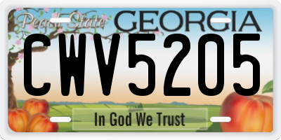 GA license plate CWV5205