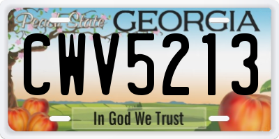 GA license plate CWV5213