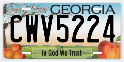 GA license plate CWV5224