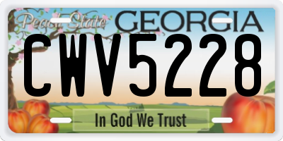 GA license plate CWV5228