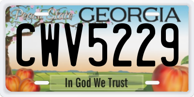 GA license plate CWV5229