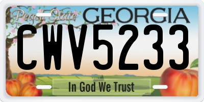 GA license plate CWV5233
