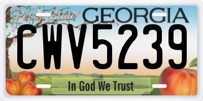GA license plate CWV5239