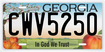 GA license plate CWV5250
