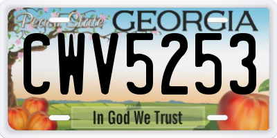 GA license plate CWV5253