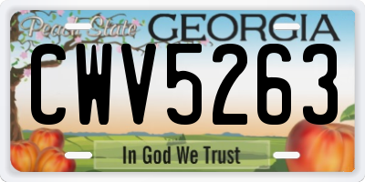 GA license plate CWV5263