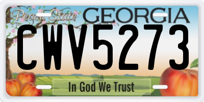GA license plate CWV5273