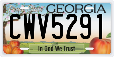 GA license plate CWV5291