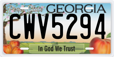 GA license plate CWV5294