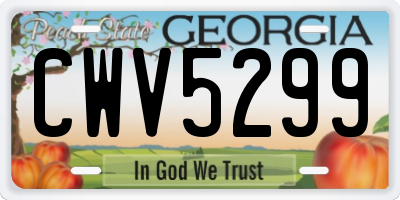 GA license plate CWV5299