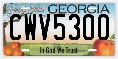 GA license plate CWV5300