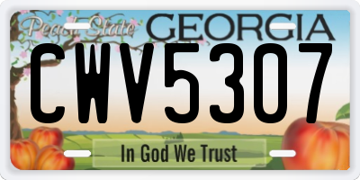 GA license plate CWV5307