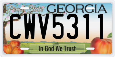 GA license plate CWV5311