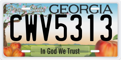 GA license plate CWV5313