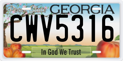 GA license plate CWV5316