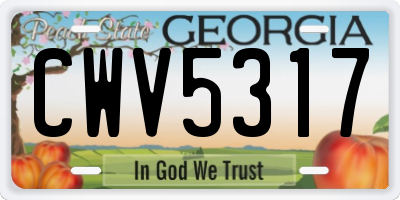 GA license plate CWV5317