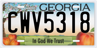 GA license plate CWV5318