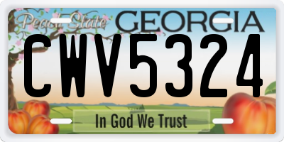 GA license plate CWV5324