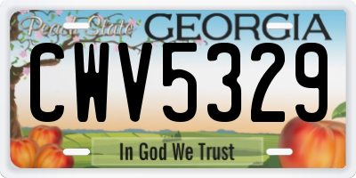 GA license plate CWV5329