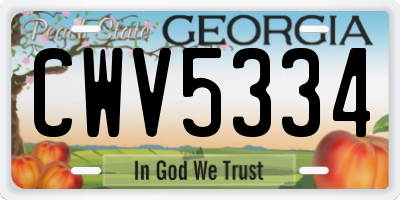 GA license plate CWV5334