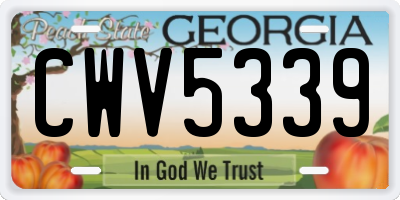 GA license plate CWV5339