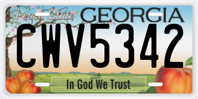 GA license plate CWV5342