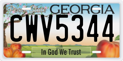 GA license plate CWV5344