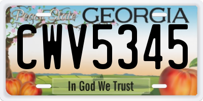 GA license plate CWV5345