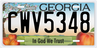GA license plate CWV5348