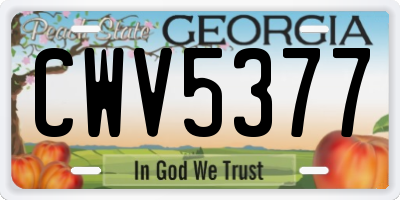 GA license plate CWV5377