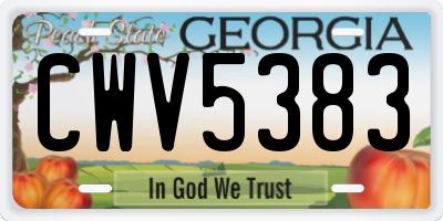 GA license plate CWV5383
