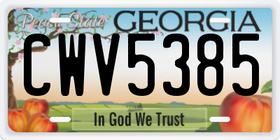 GA license plate CWV5385