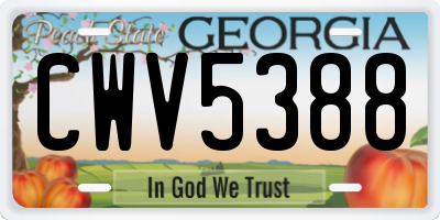 GA license plate CWV5388