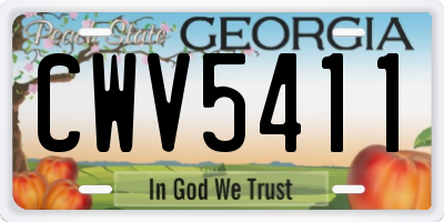GA license plate CWV5411
