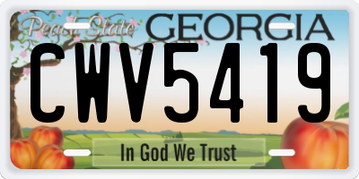 GA license plate CWV5419