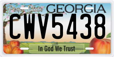 GA license plate CWV5438