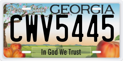GA license plate CWV5445