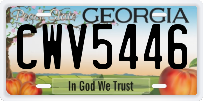 GA license plate CWV5446