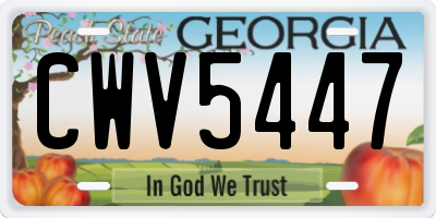 GA license plate CWV5447